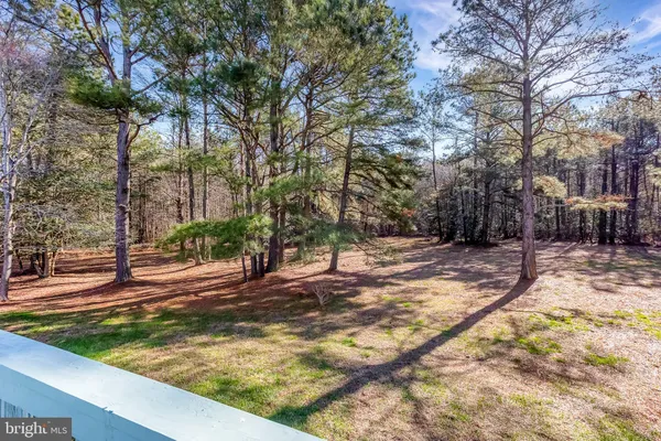 a view of a yard with large trees