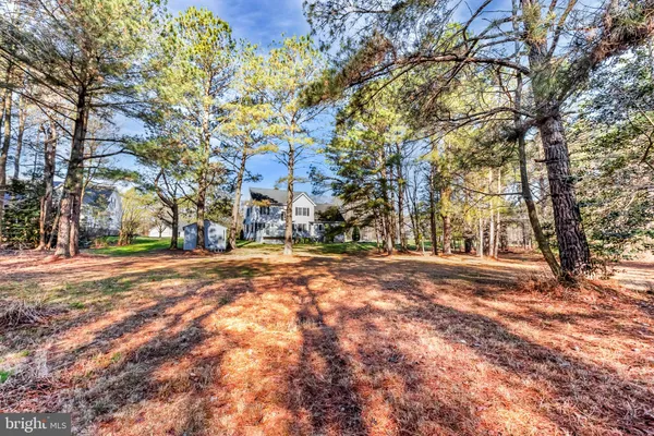 a view of road with large trees
