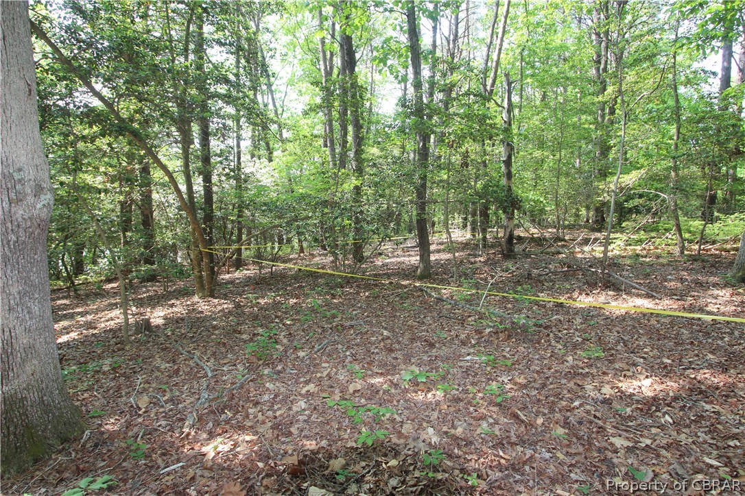 0 Timberneck Farm Road Hayes, VA 23072 - Photo 2 of 6