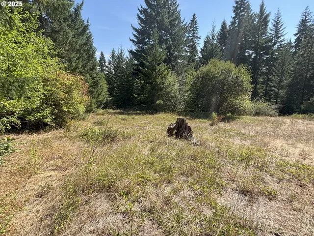 a view of outdoor space and yard