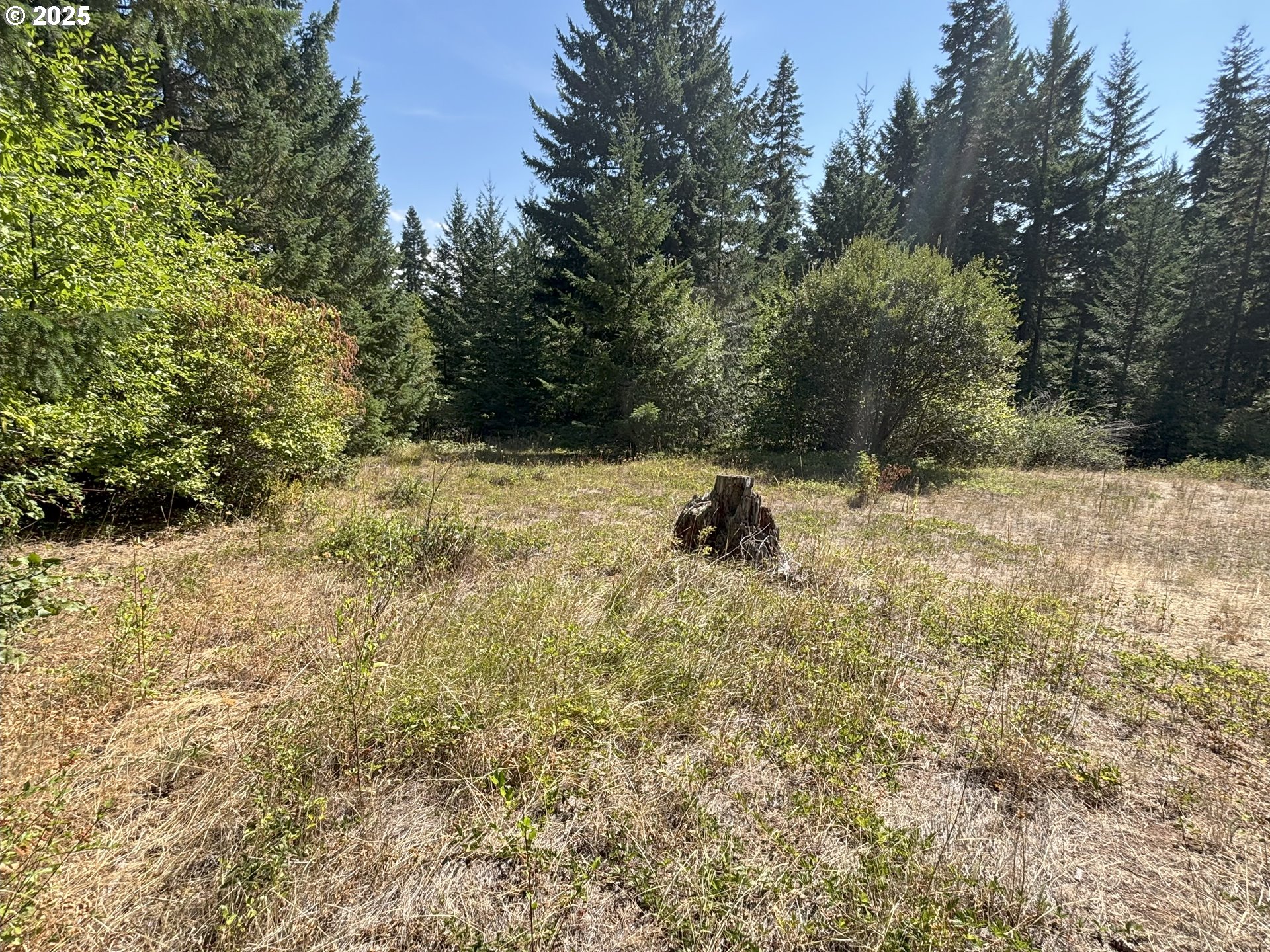 a view of outdoor space and yard