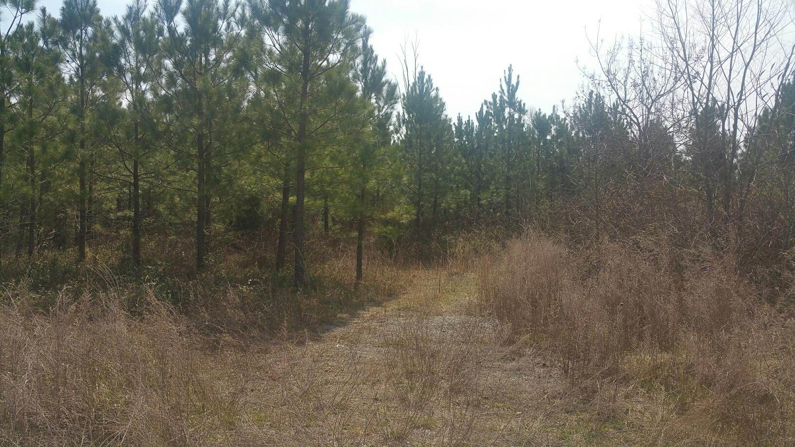 0 Cranfill Road Dayton, TN 37321 - Photo 7 of 13 Gallery Image 7