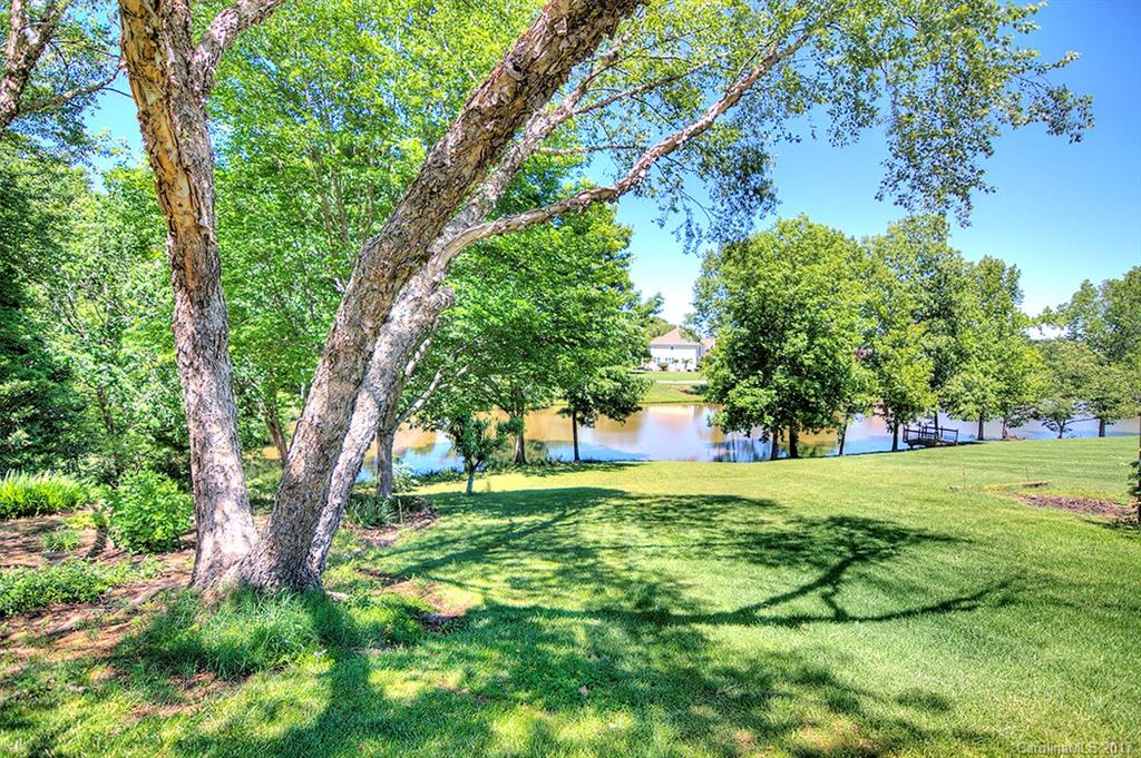 443 Beacon Knoll Lane Fort Mill, SC 29708 - Photo 23 of 24 a view of a big yard with large trees