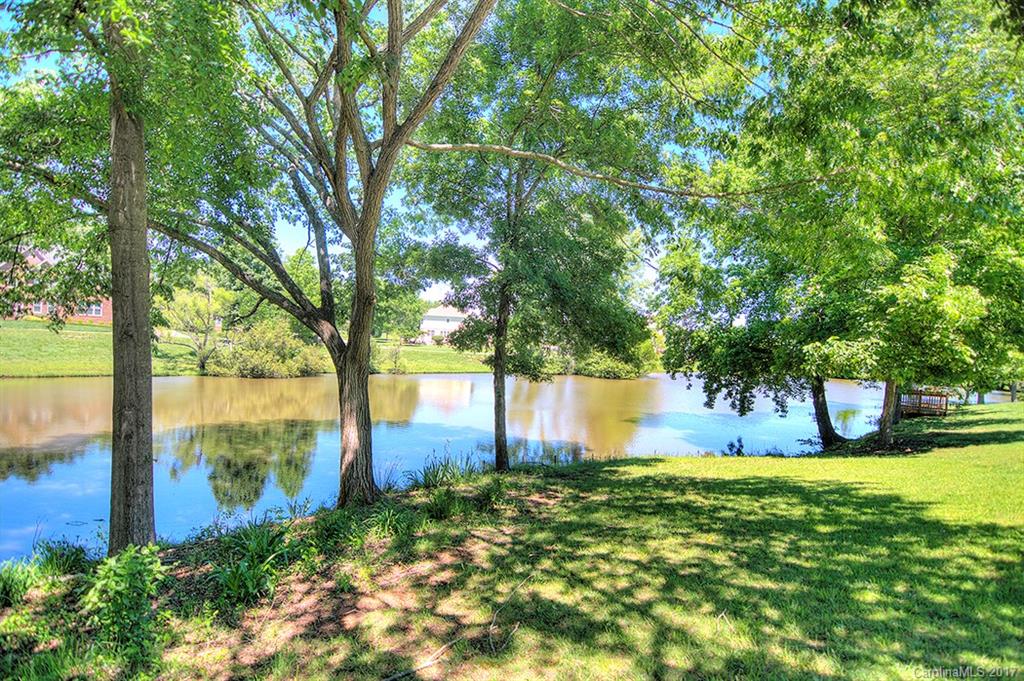 443 Beacon Knoll Lane Fort Mill, SC 29708 - Photo 24 of 24 a view of a yard with a large tree