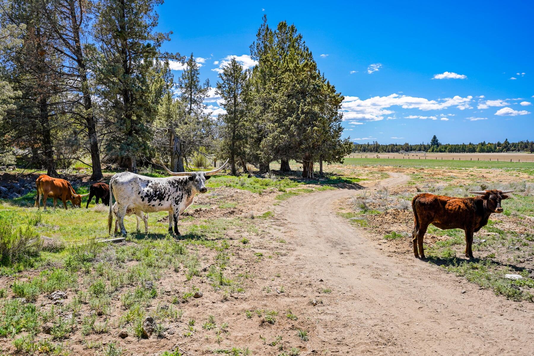 24395 Dodds Road Bend, OR 97701 - Photo 47 of 48 batch_DSC05637