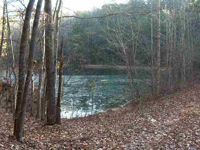 0 Hwy 11 & S Saluda Road Cleveland, SC 29635 - Photo 3 of 8 Gallery Image 3