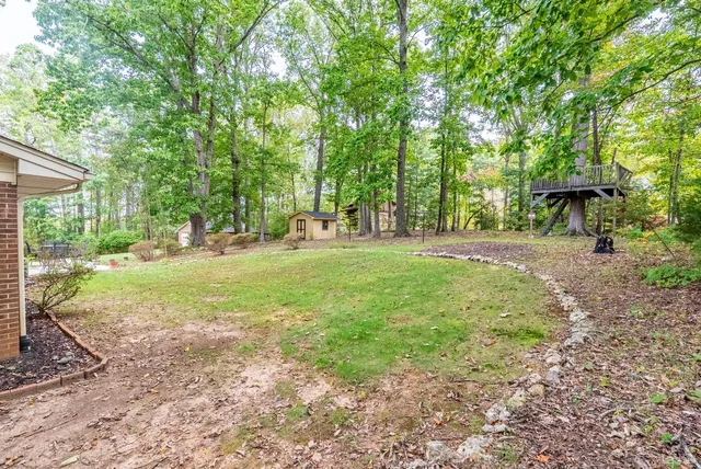 a view of a backyard with large trees and plants