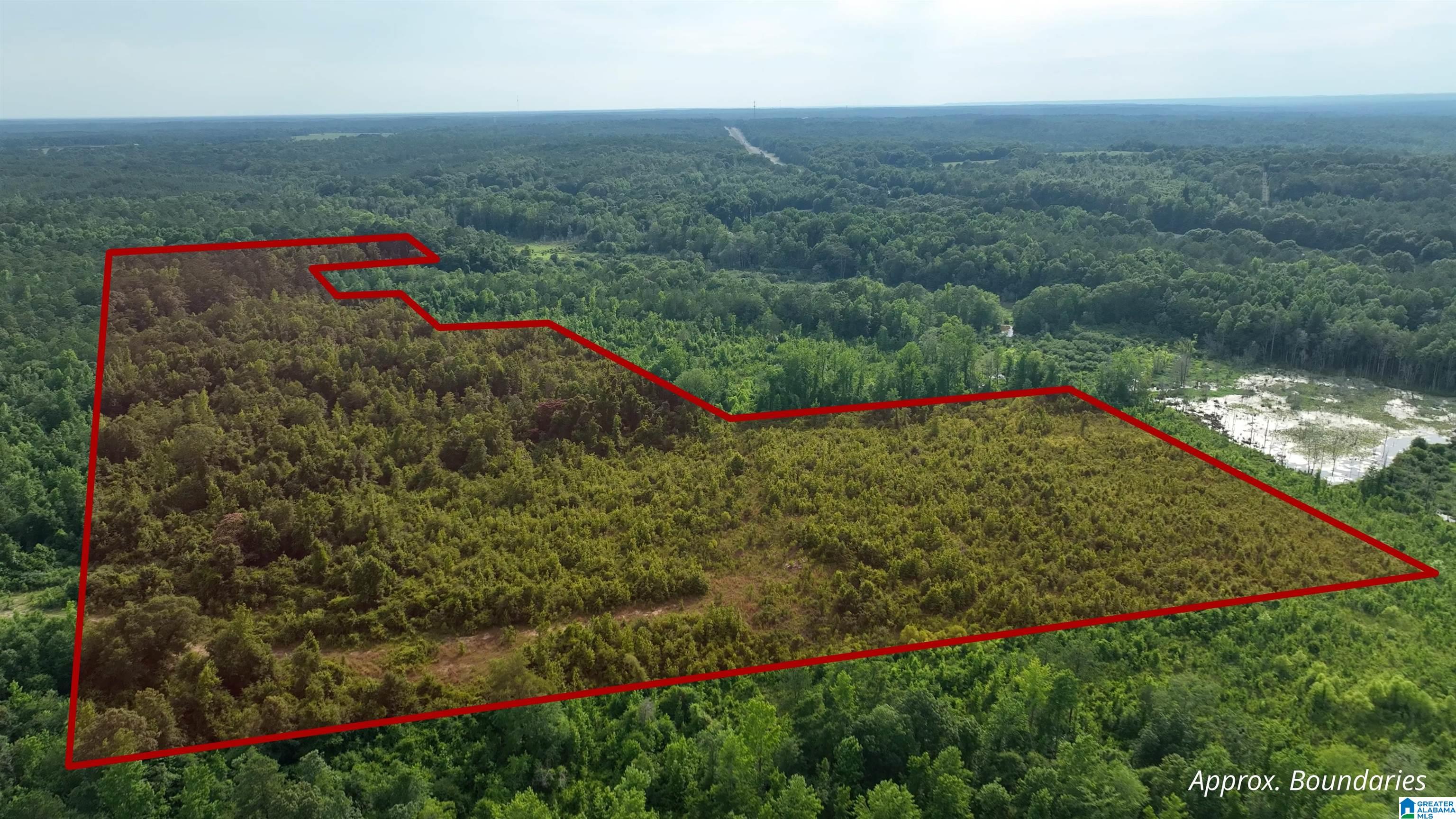 0 Midway Road Tuskegee, AL 36083 - Photo 3 of 30