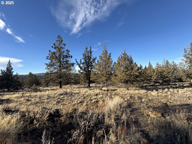 Canvasback Drive, Unit 5 Bonanza, OR 97623 - Photo 14 of 35