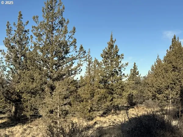 a view of a city with lush green forest