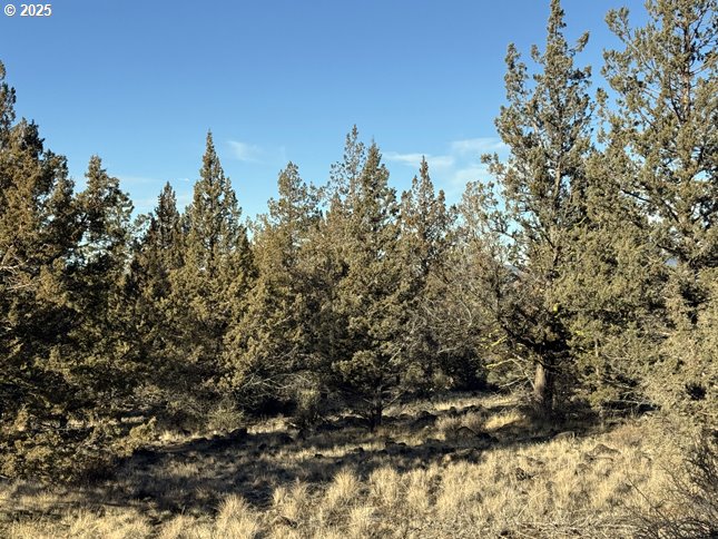 Canvasback Drive, Unit 5 Bonanza, OR 97623 - Photo 19 of 35