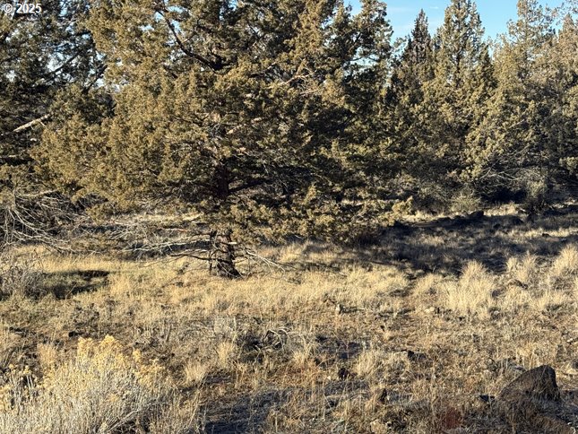 Canvasback Drive, Unit 5 Bonanza, OR 97623 - Photo 20 of 35