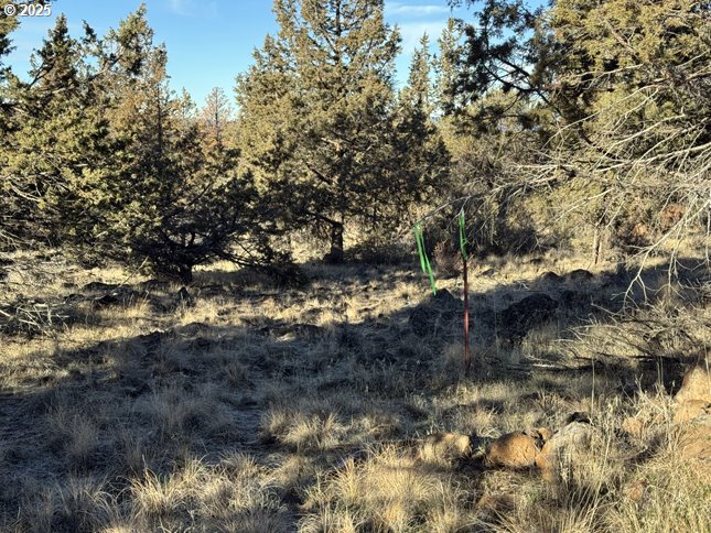 Canvasback Drive, Unit 5 Bonanza, OR 97623 - Photo 2 of 35