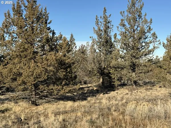 a view of outdoor space and covered with fog