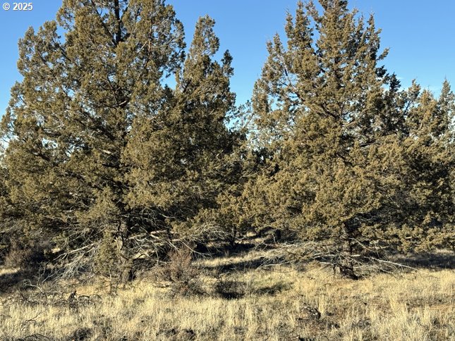 Canvasback Drive, Unit 5 Bonanza, OR 97623 - Photo 23 of 35