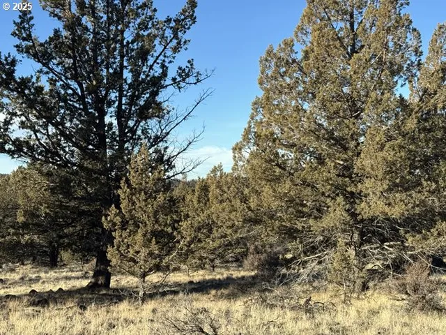 $14,000 | Canvasback Drive, Unit 5, Bonanza, OR 97623