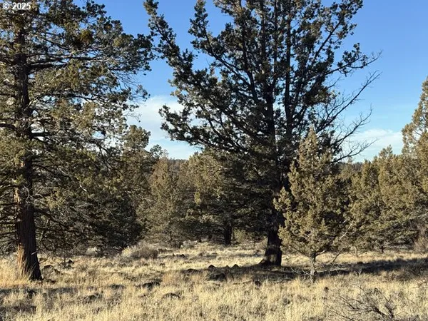 a view of covered with snow
