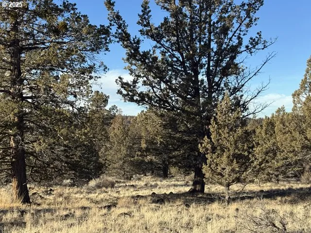 $14,000 | Canvasback Drive, Unit 5, Bonanza, OR 97623