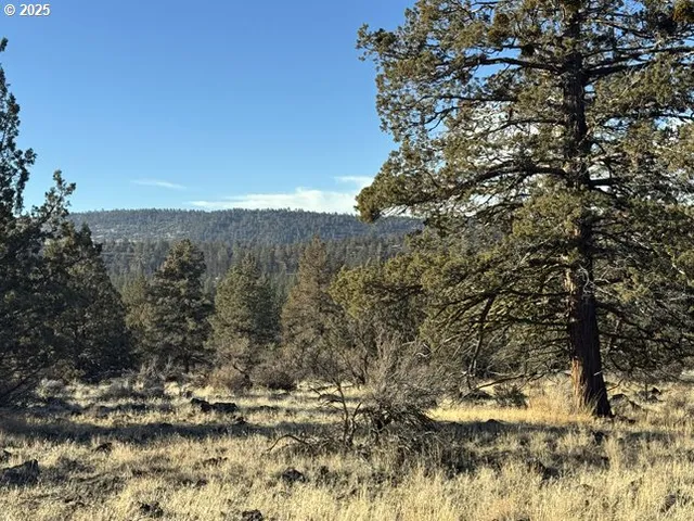 a view of mountain view with lots of trees
