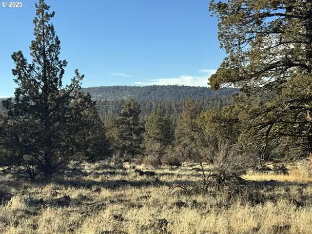 $14,000 | Canvasback Drive, Unit 5, Bonanza, OR 97623