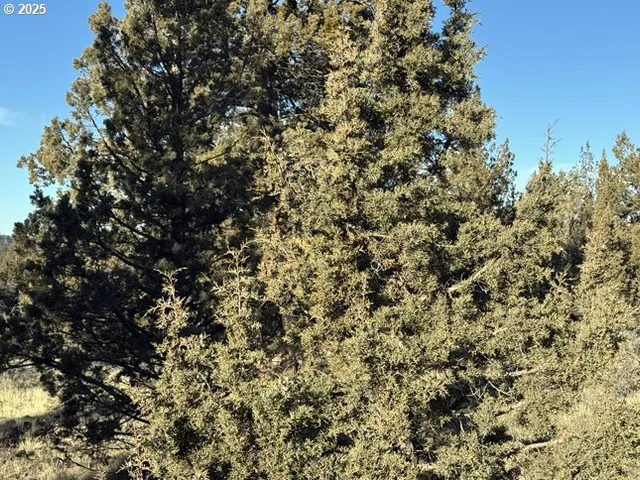 $14,000 | Canvasback Drive, Unit 5, Bonanza, OR 97623