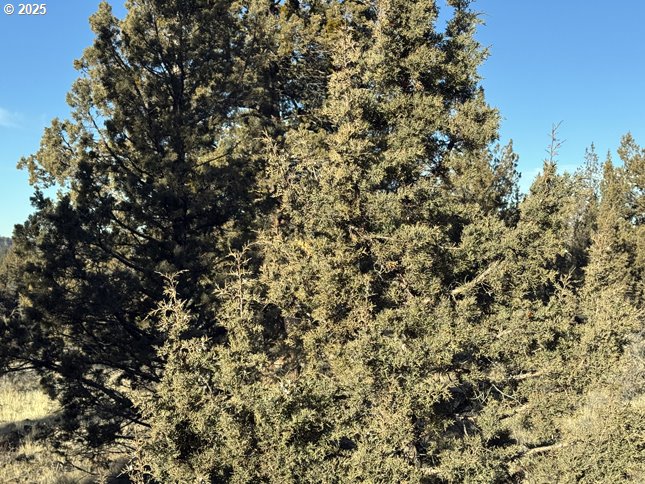 Canvasback Drive, Unit 5 Bonanza, OR 97623 - Photo 30 of 35