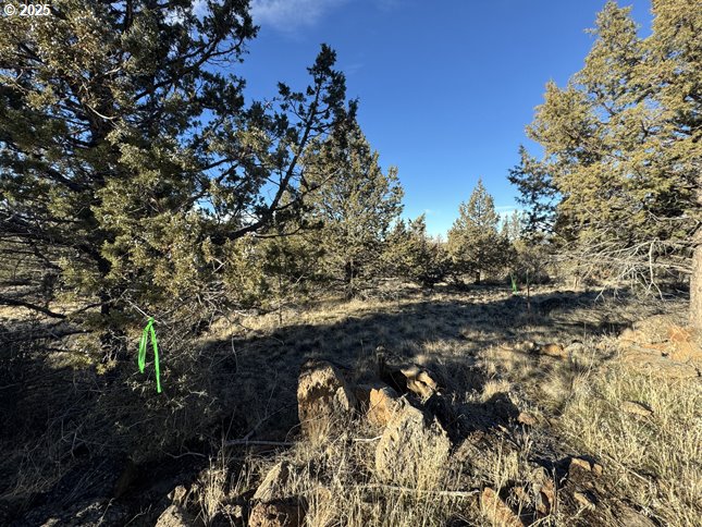 Canvasback Drive, Unit 5 Bonanza, OR 97623 - Photo 3 of 35