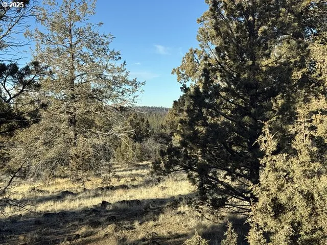 $14,000 | Canvasback Drive, Unit 5, Bonanza, OR 97623