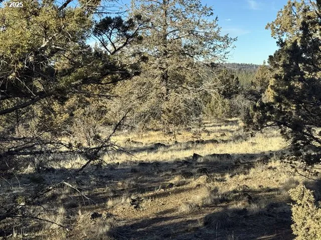 $14,000 | Canvasback Drive, Unit 5, Bonanza, OR 97623