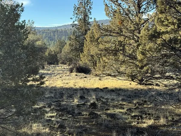 a view of a yard covered with snow
