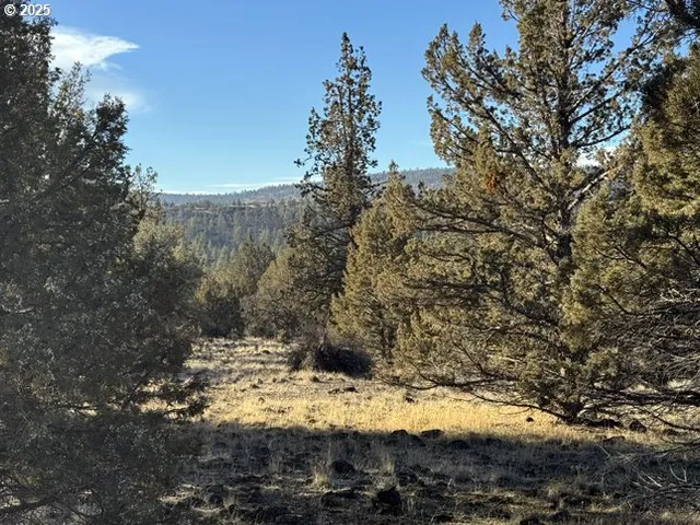 $14,000 | Canvasback Drive, Unit 5, Bonanza, OR 97623