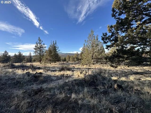 a view of a field with trees
