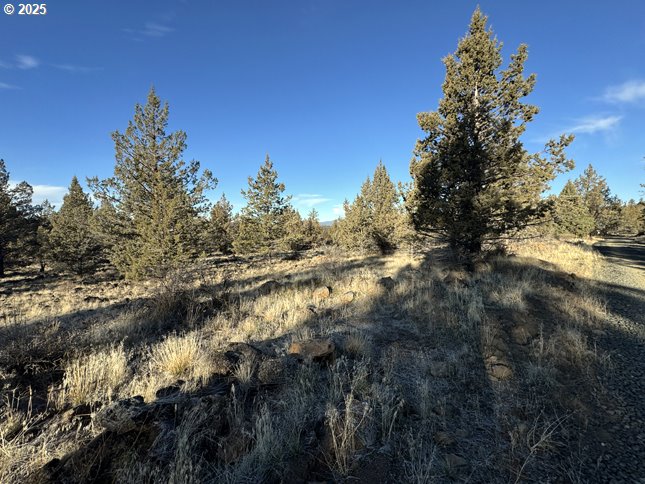 Canvasback Drive, Unit 5 Bonanza, OR 97623 - Photo 9 of 35