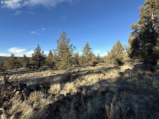 Canvasback Drive, Unit 5 Bonanza, OR 97623 - Photo 10 of 35