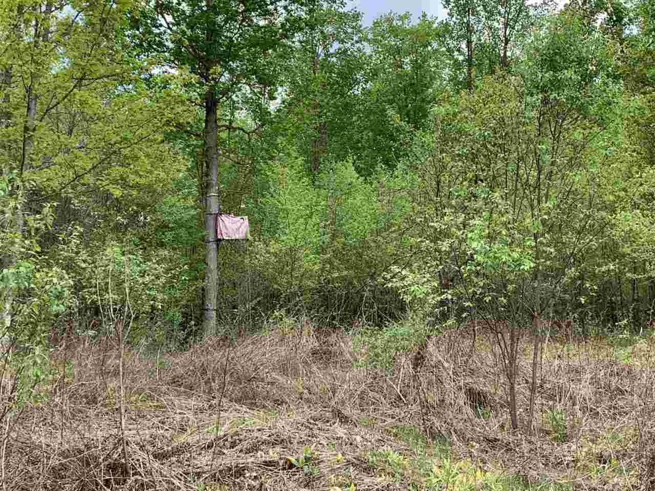 40 South 17 Road Boon, MI 49618 - Photo 9 of 33