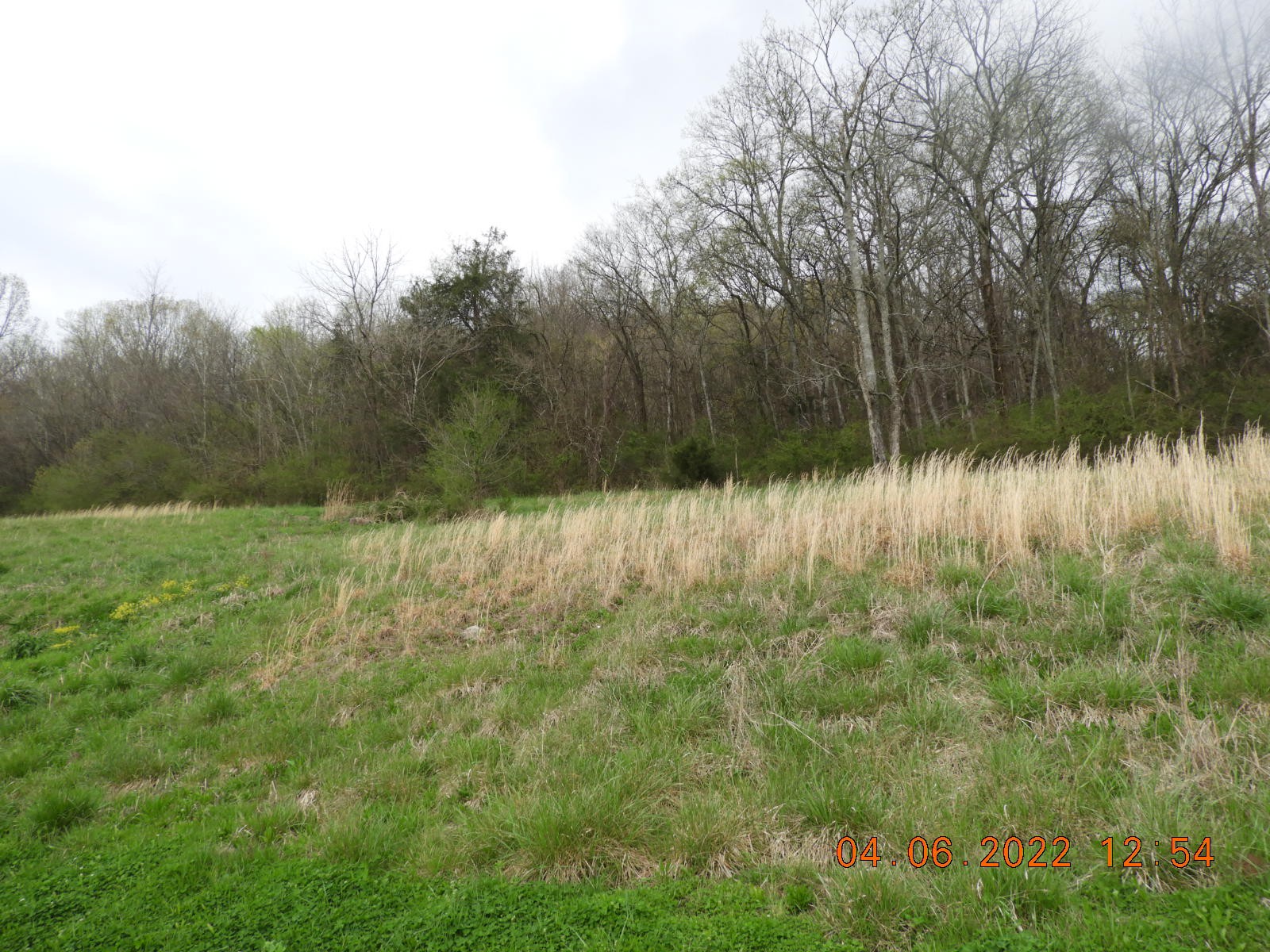 1450 Highway 64 Pulaski, TN 38478 - Photo 14 of 28
