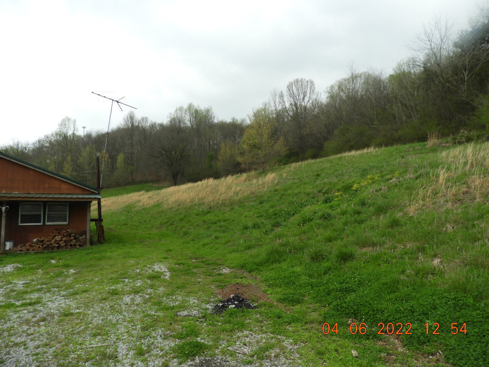 1450 Highway 64 Pulaski, TN 38478 - Photo 15 of 28