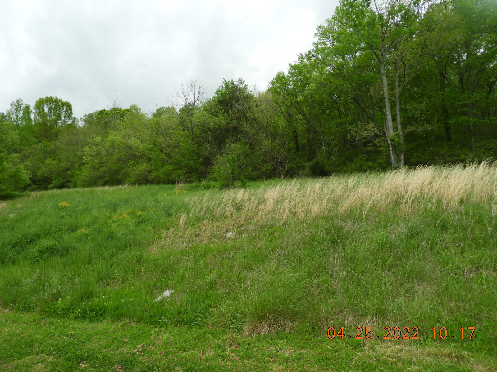 1450 Highway 64 Pulaski, TN 38478 - Photo 16 of 28
