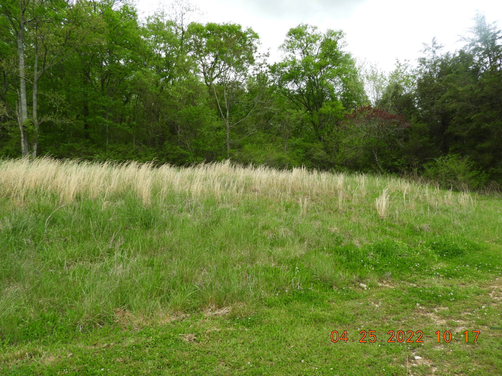 1450 Highway 64 Pulaski, TN 38478 - Photo 17 of 28