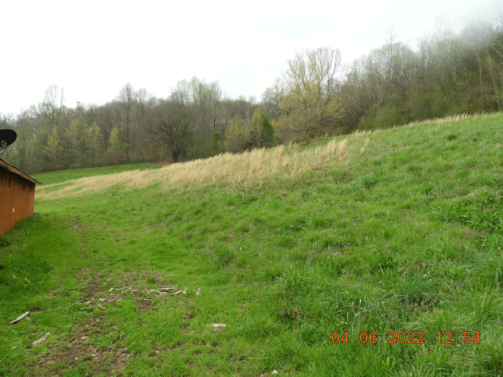 1450 Highway 64 Pulaski, TN 38478 - Photo 20 of 28