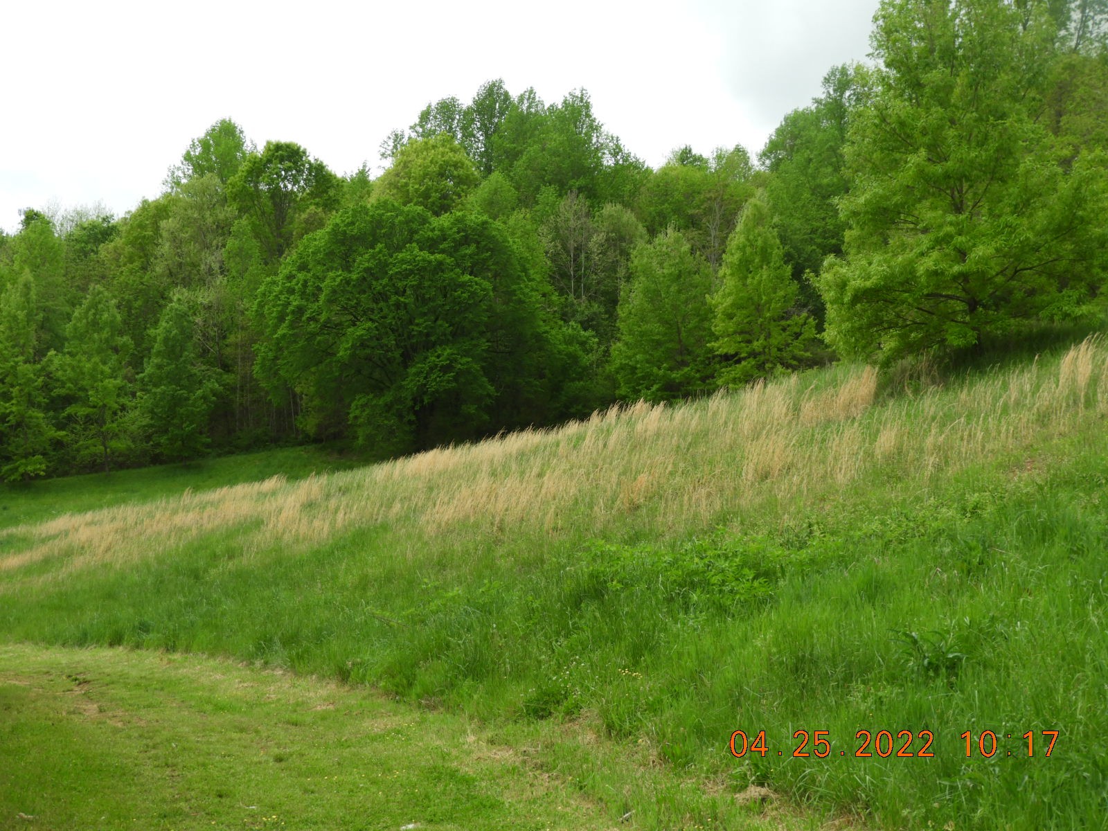 1450 Highway 64 Pulaski, TN 38478 - Photo 4 of 28