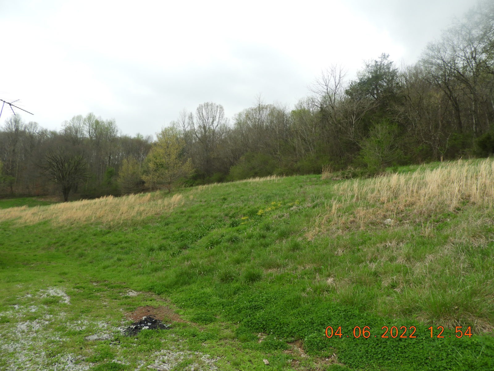 1450 Highway 64 Pulaski, TN 38478 - Photo 5 of 28