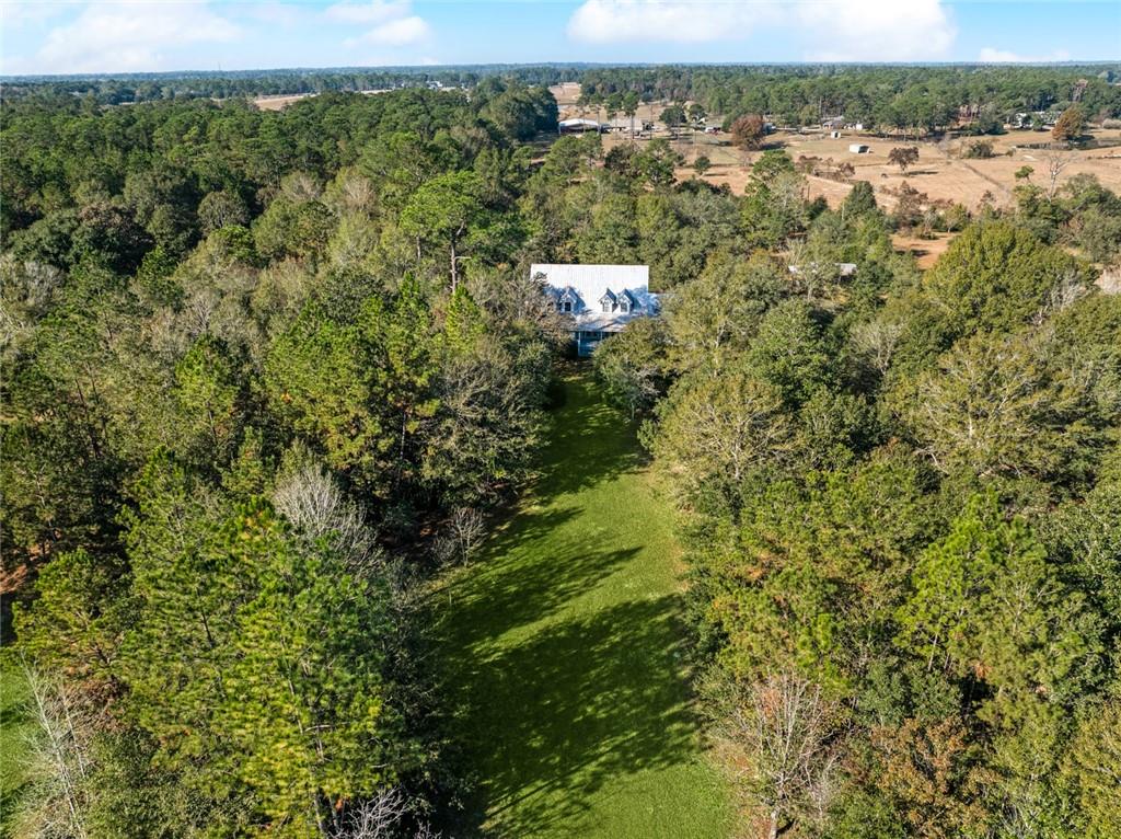 419 Bienville Road Folsom, LA 70437 - Photo 45 of 55