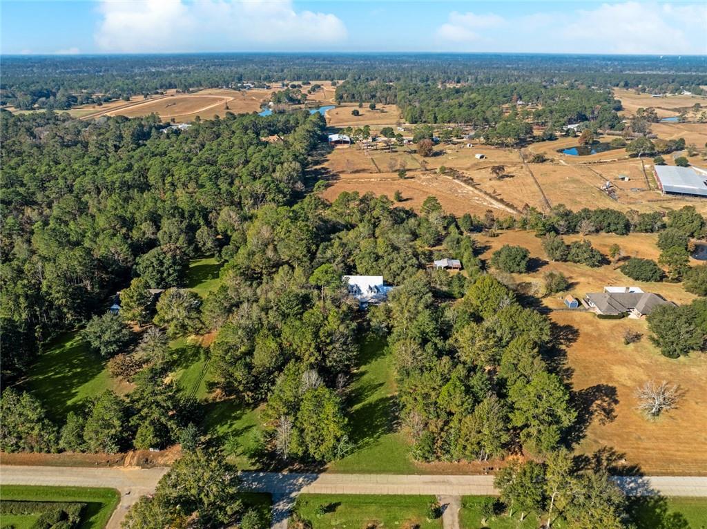 419 Bienville Road Folsom, LA 70437 - Photo 46 of 55