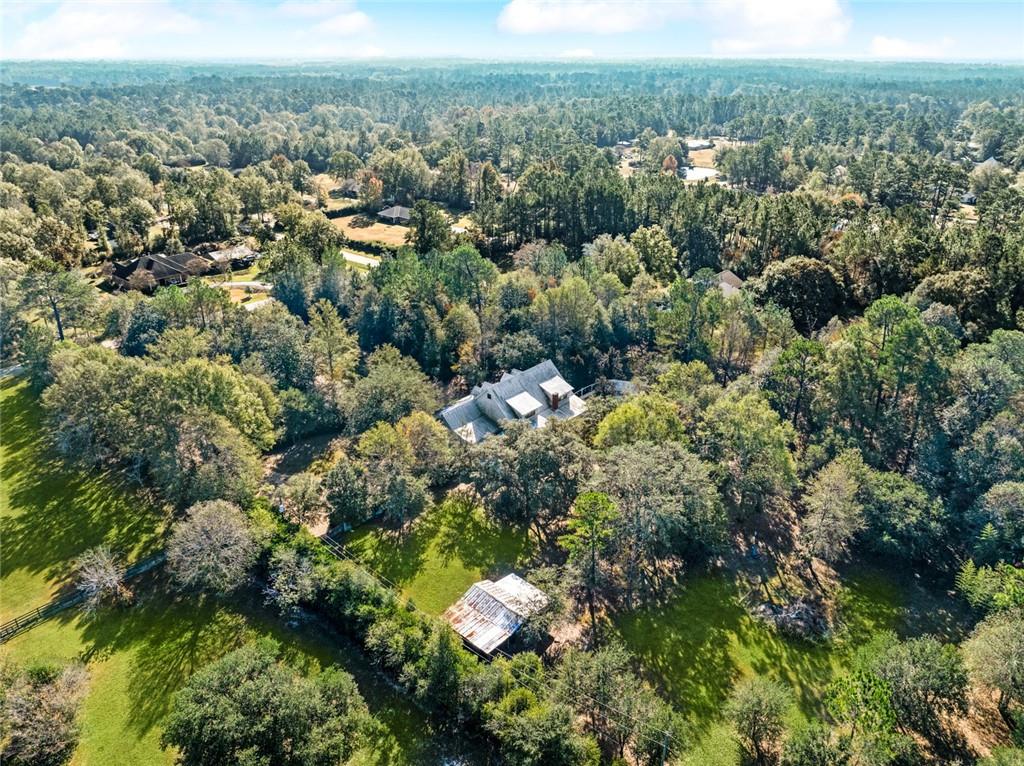 419 Bienville Road Folsom, LA 70437 - Photo 50 of 55