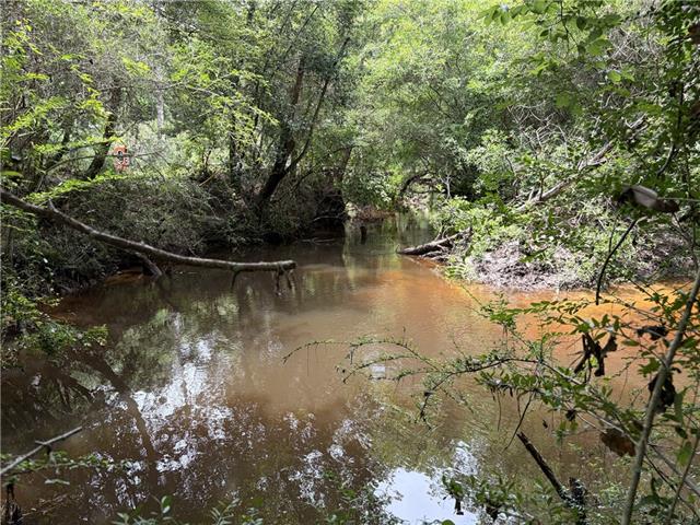0 Thigpen Road Franklinton, LA 70438 - Photo 29 of 34