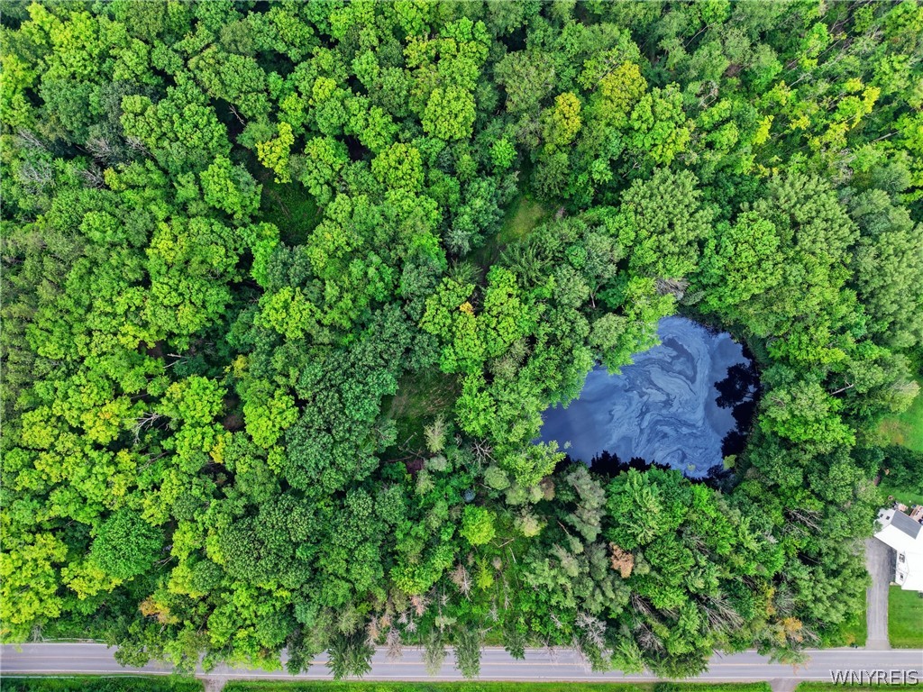 10788 Partridge Road Colden, NY 14080 - Photo 15 of 24