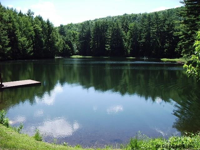 252 Miner Road Porter Corners, NY 12859 - Photo 4 of 21 Photo 5