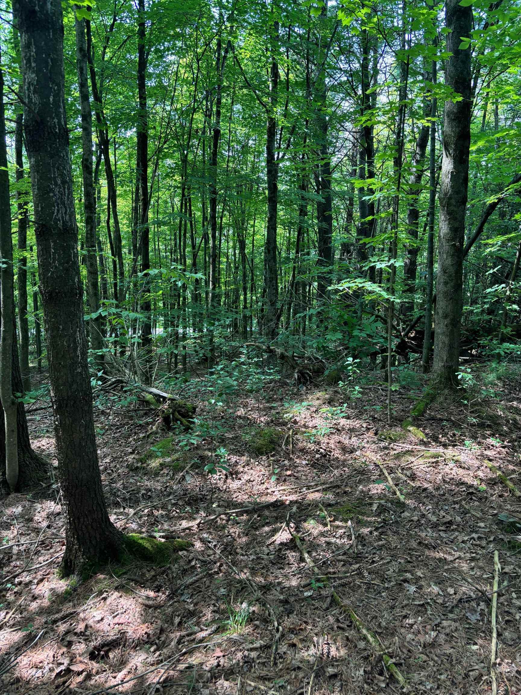 0 Manley Road, Unit 1 Milton, VT 05468 - Photo 1 of 4