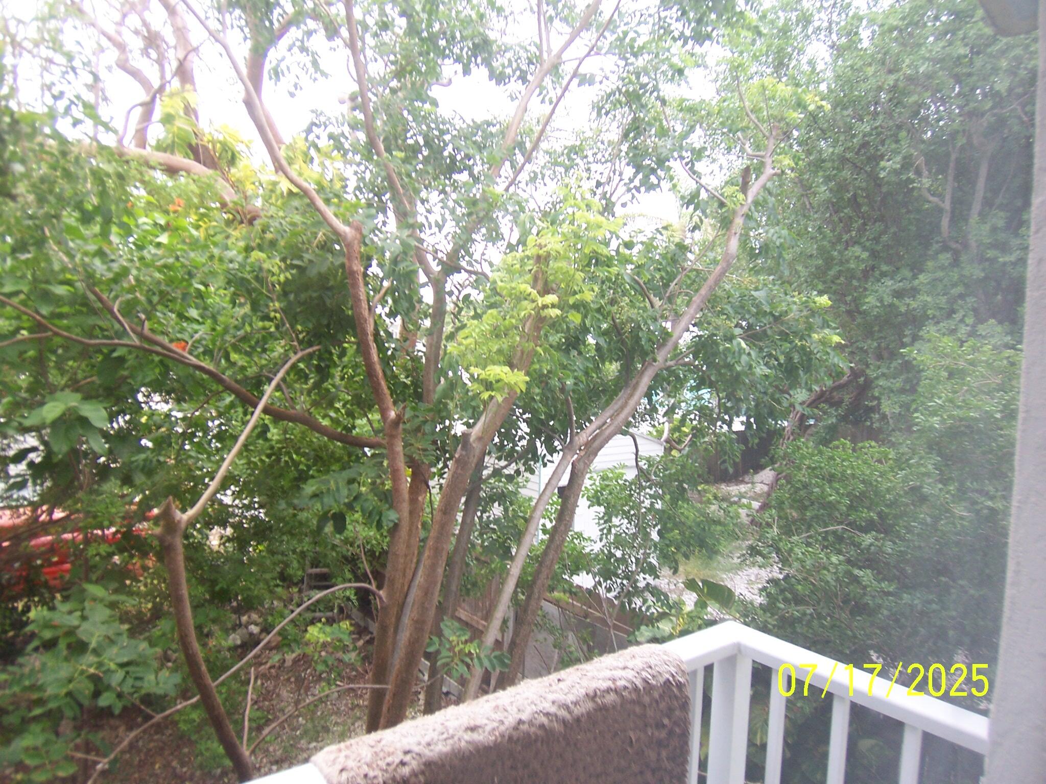 Undisclosed Address Key Largo, FL 33037 - Photo 17 of 19 a view of a wooden deck